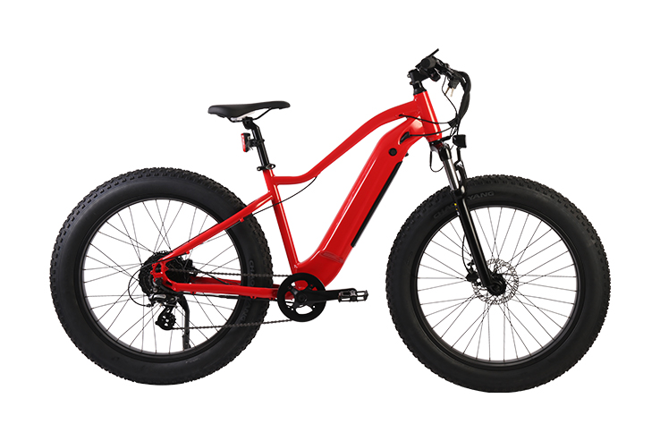 what is a beach bike