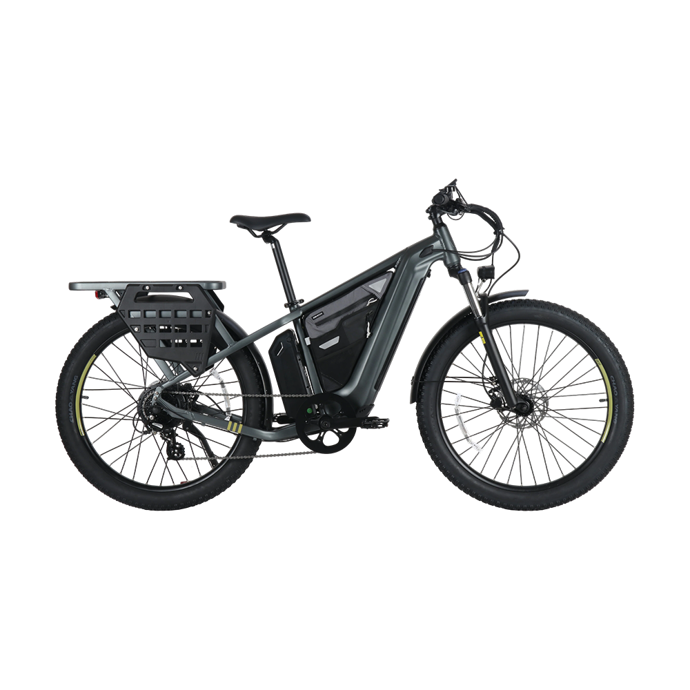 E-BIKE