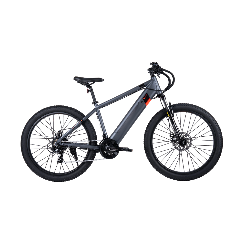 E-BIKE