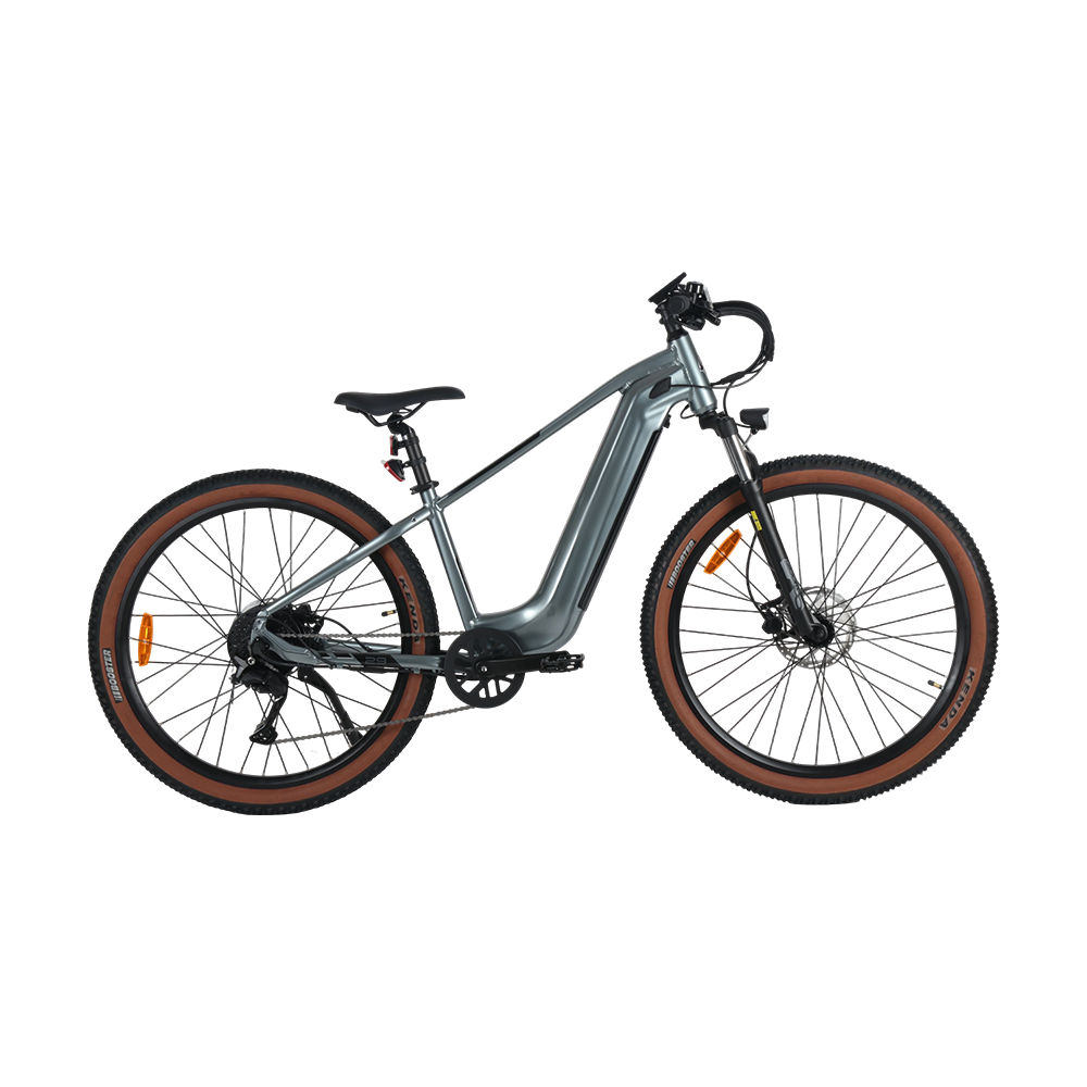 E-BIKE