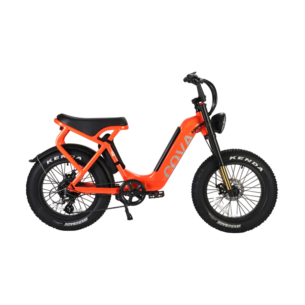 E-BIKE