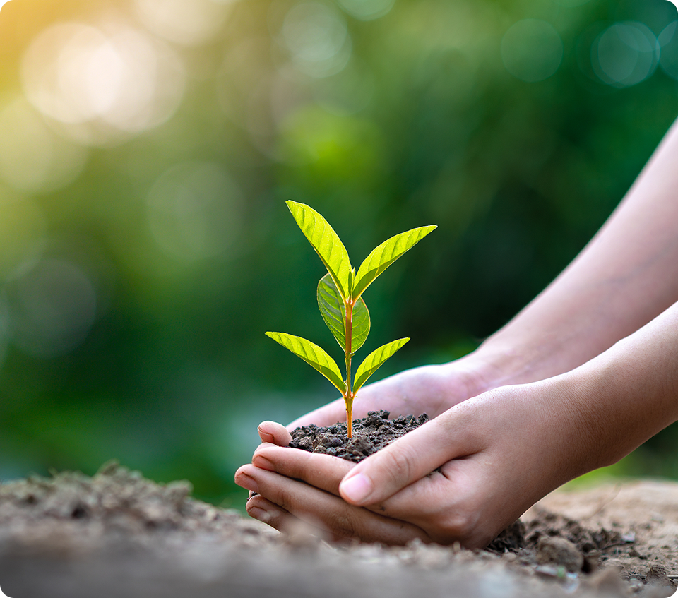 FuturuX Global Co., Ltd.